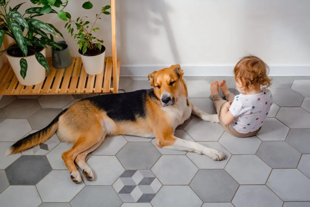 a cute toddler and dog sitting on the floor relaxi 2024 10 16 07 16 53 utc min