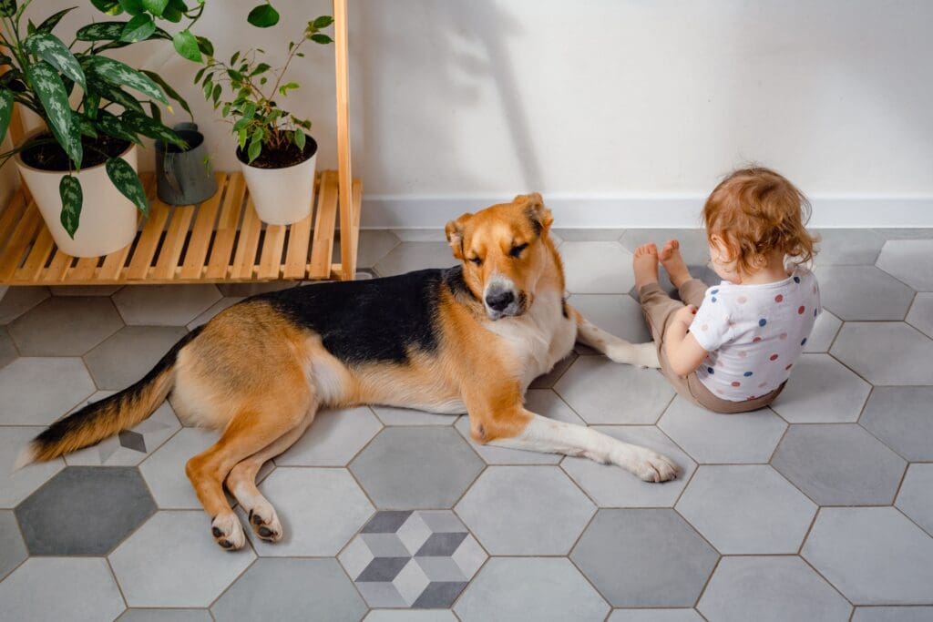 a cute toddler and dog sitting on the floor relaxi 2024 10 16 07 16 53 utc min
